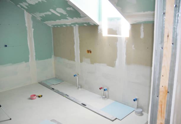 Best Basement Mold Removal  in Harker Heights, TX