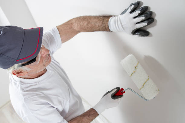 Best Commercial Mold Inspection  in Harker Heights, TX