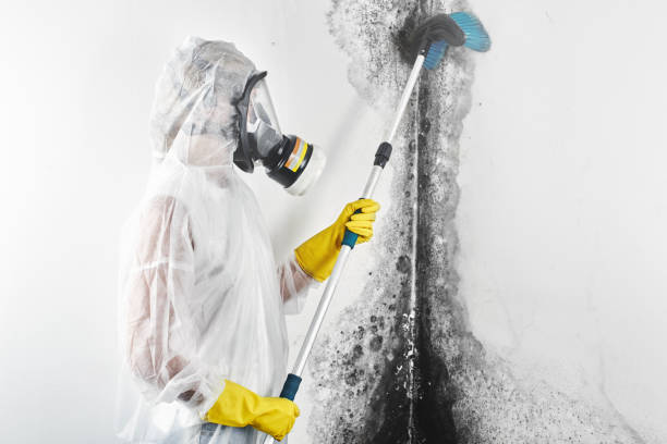 Best Air Quality Testing for Mold Spores  in Harker Heights, TX