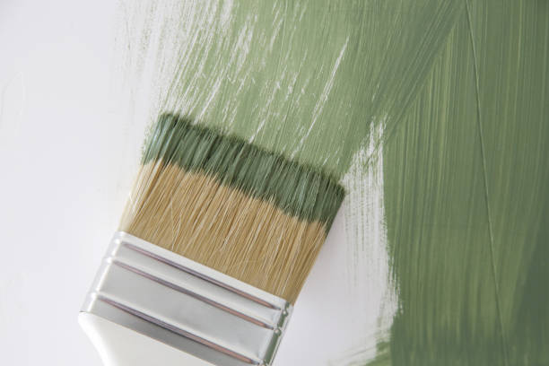 Best Mold Prevention Services  in Harker Heights, TX