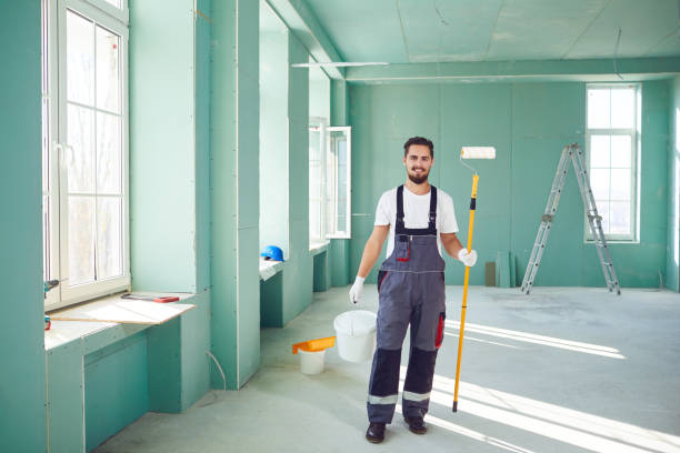 Best Basement Mold Removal  in Harker Heights, TX