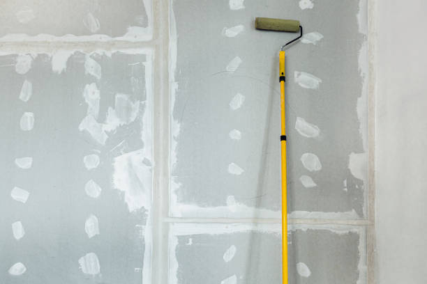 Best Real Estate Mold Inspection  in Harker Heights, TX
