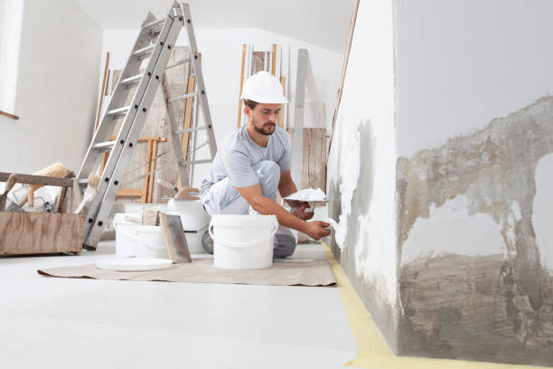 Harker Heights, TX Mold Removal Company