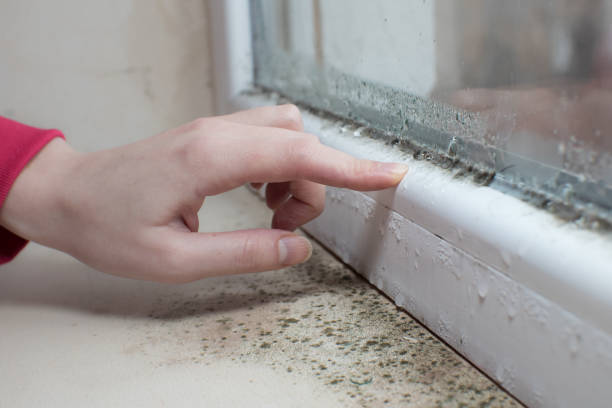 Best Residential Mold Inspection & Testing  in Harker Heights, TX